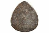Chondrite Meteorite Cabochon ( g) #238195-1